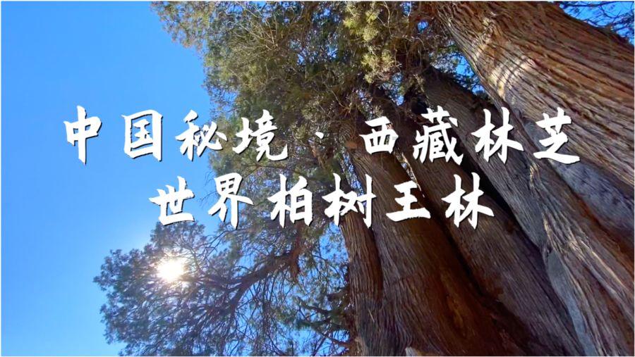 按点连线