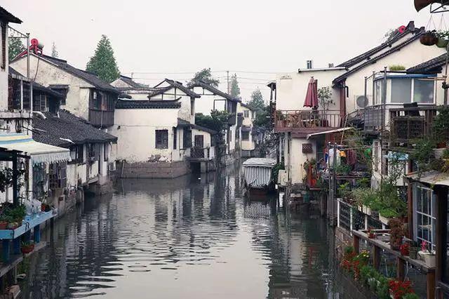 古墓丽影：崛起